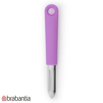 PELAPAPAS TASTY PURPLE BRABANTIA